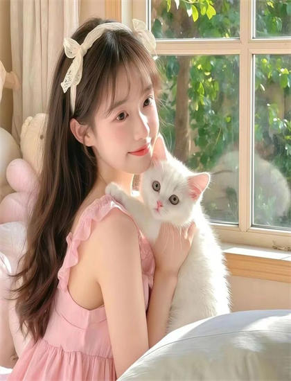 杰姆和全息图奖项分析：获奖情况与专业认可度评价